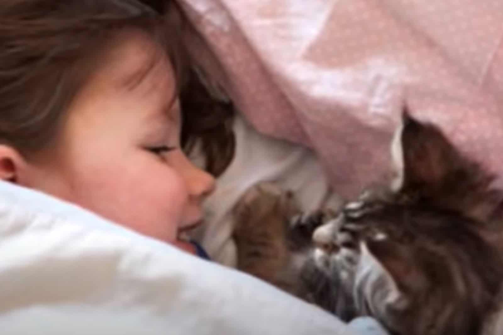 close-up photo of girl lying with cat