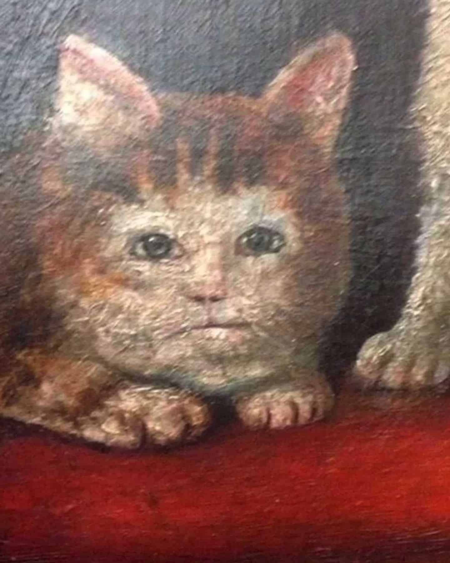 close-up photo of medieval cat
