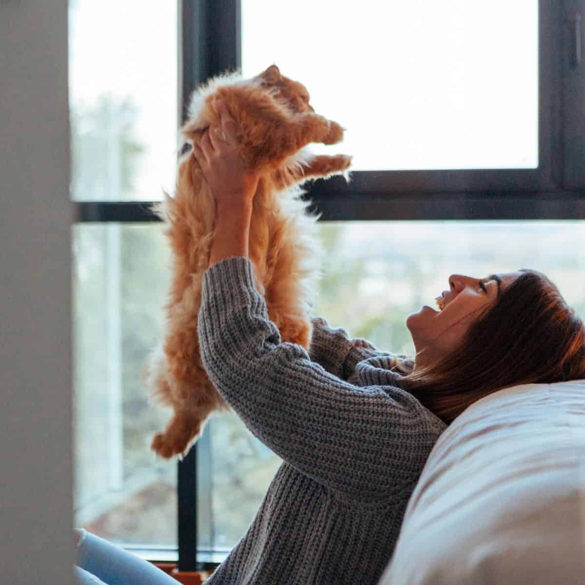 happy woman playing with cat in the air