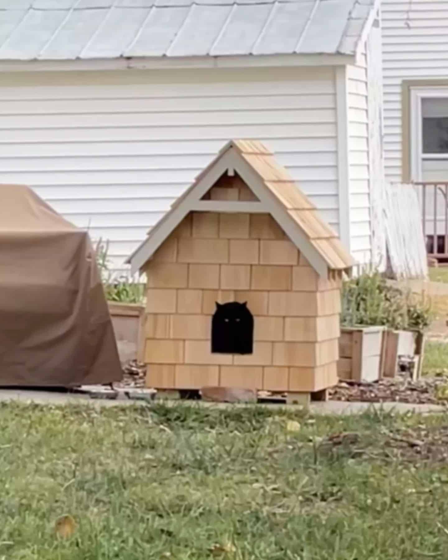 insulated cat house in the yard