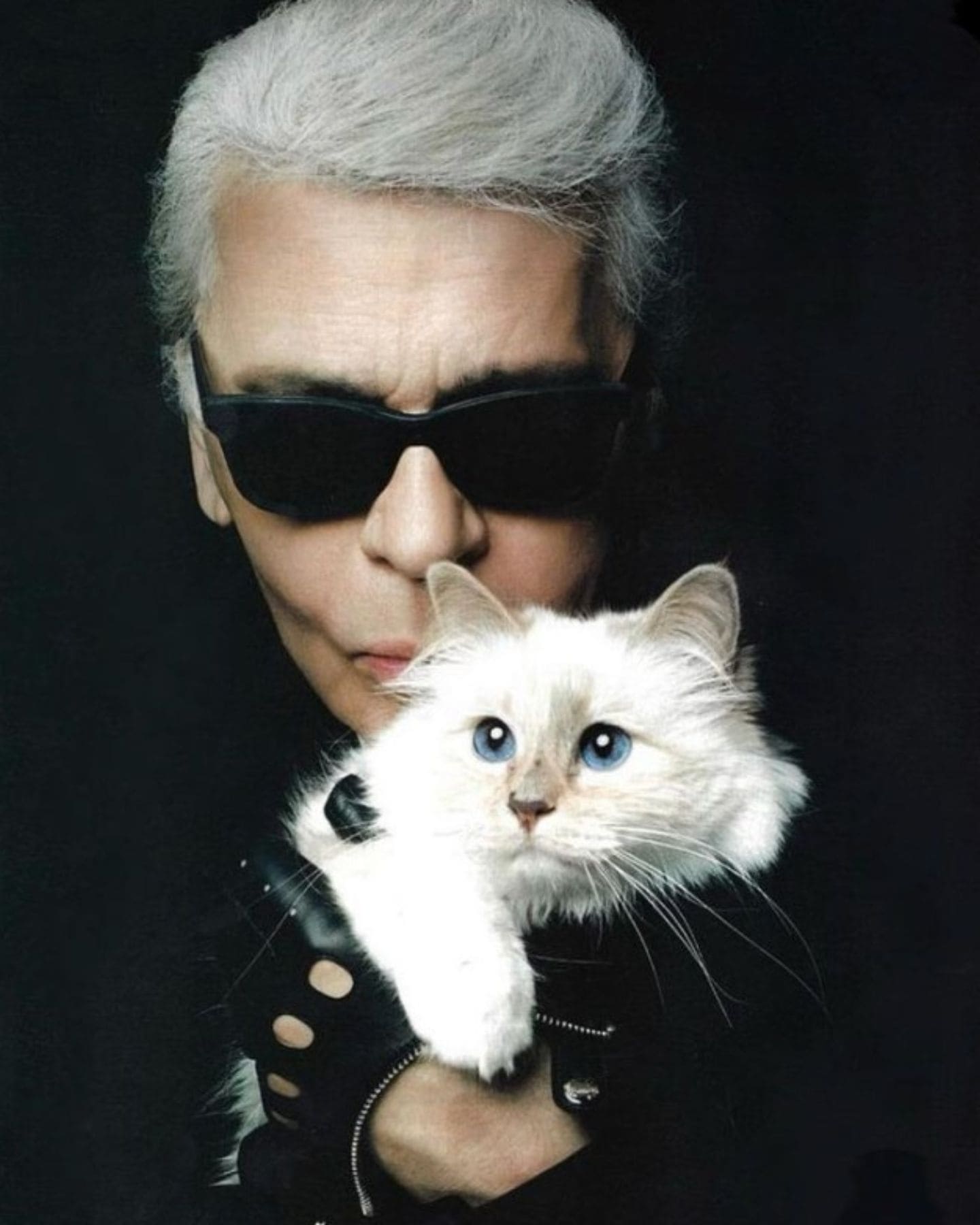 karl lagerfeld and a cat