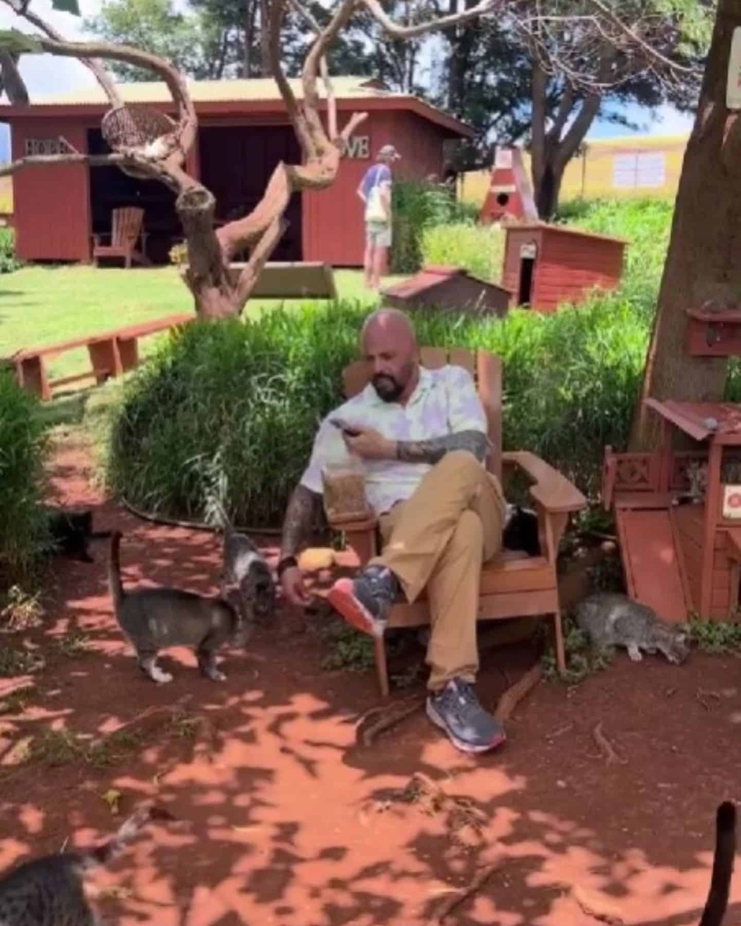 man sitting in a chair in cat sanctuary
