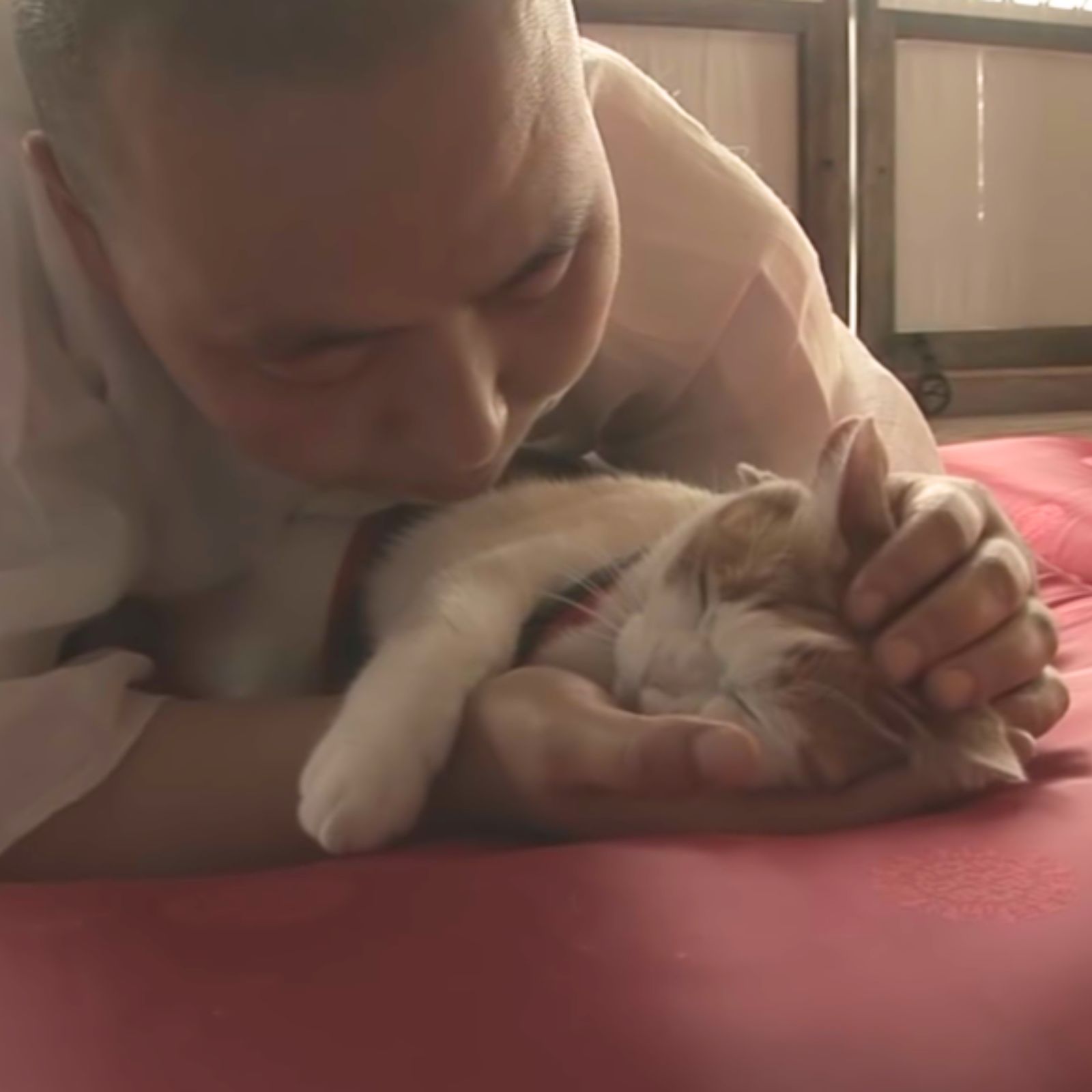 monk petting a cat