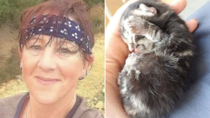 Newborn Kitten Falling From The Sky Caught By Woman Jogger