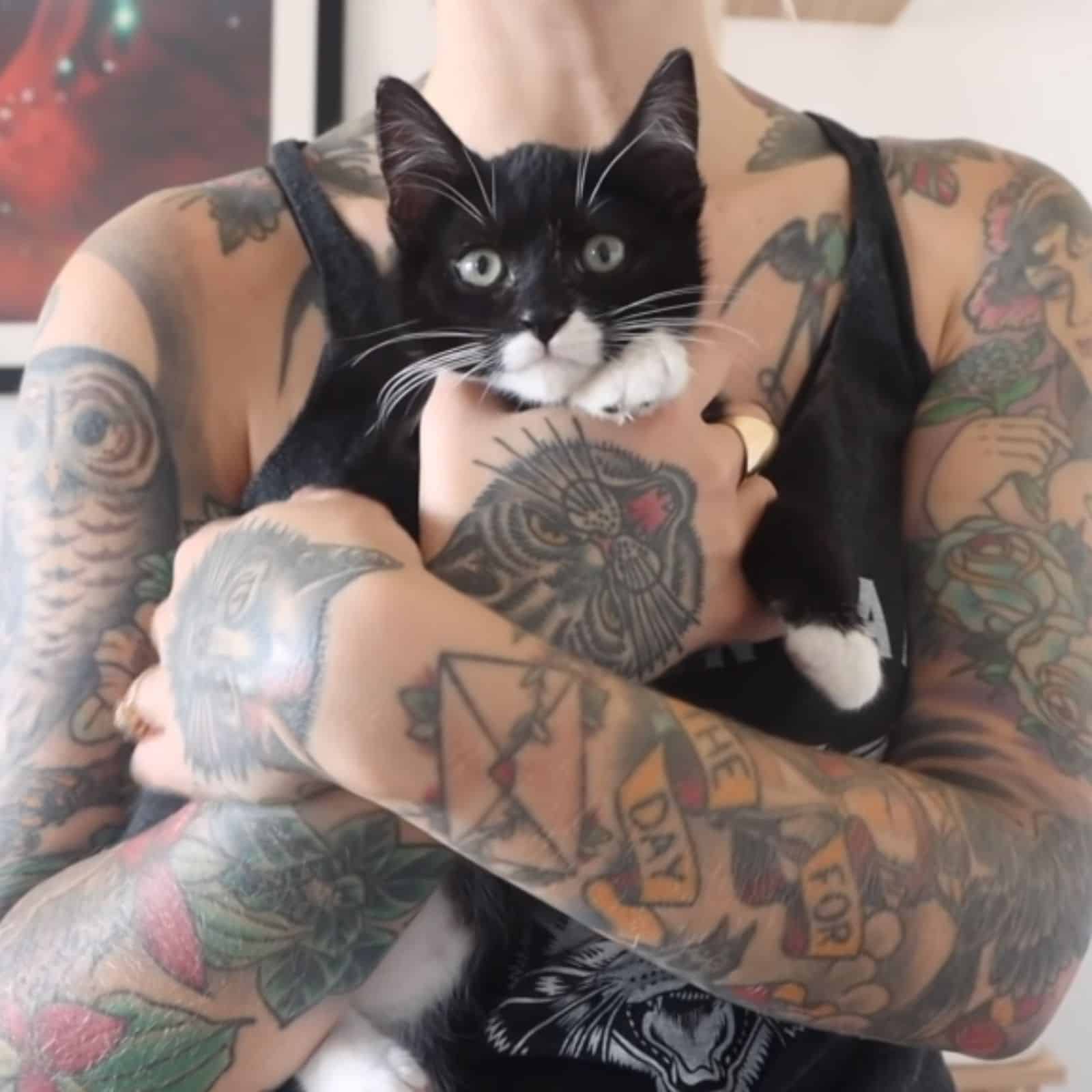 owner holding a kitten