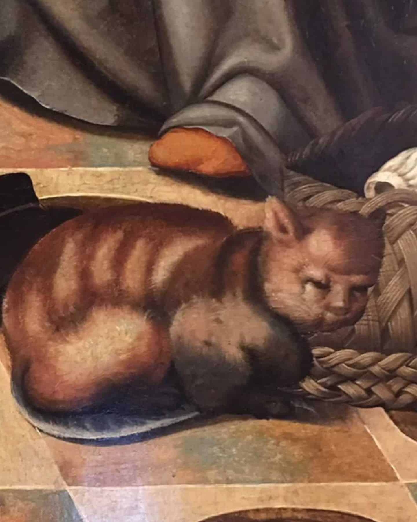 photo of medieval cat lying