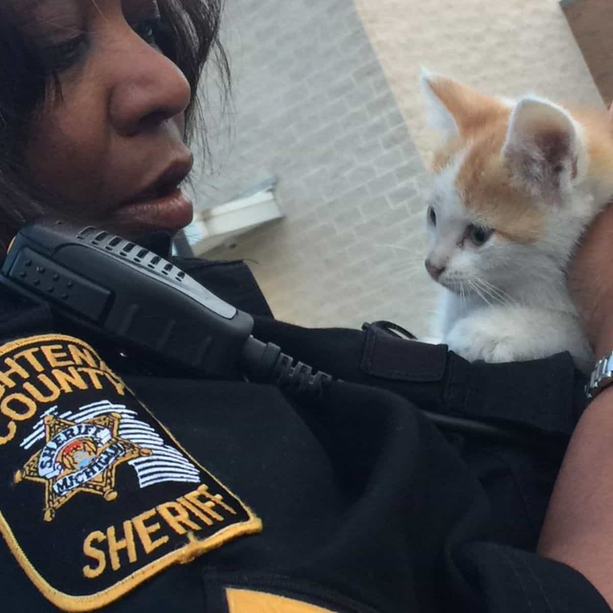 police officer holding a kitten