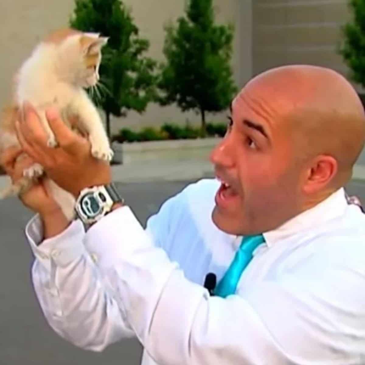 reporter holding a kitten