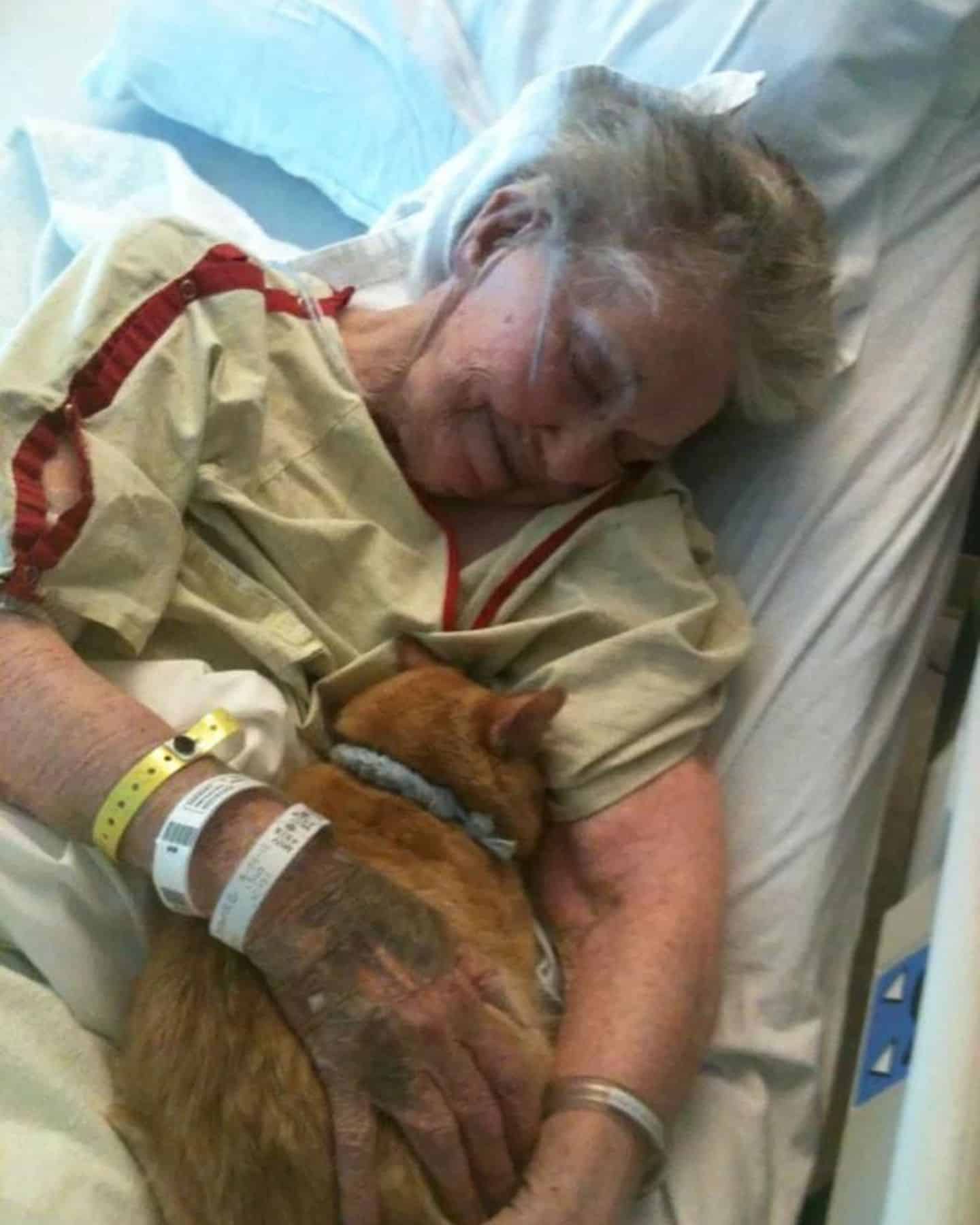sick senior woman with cat
