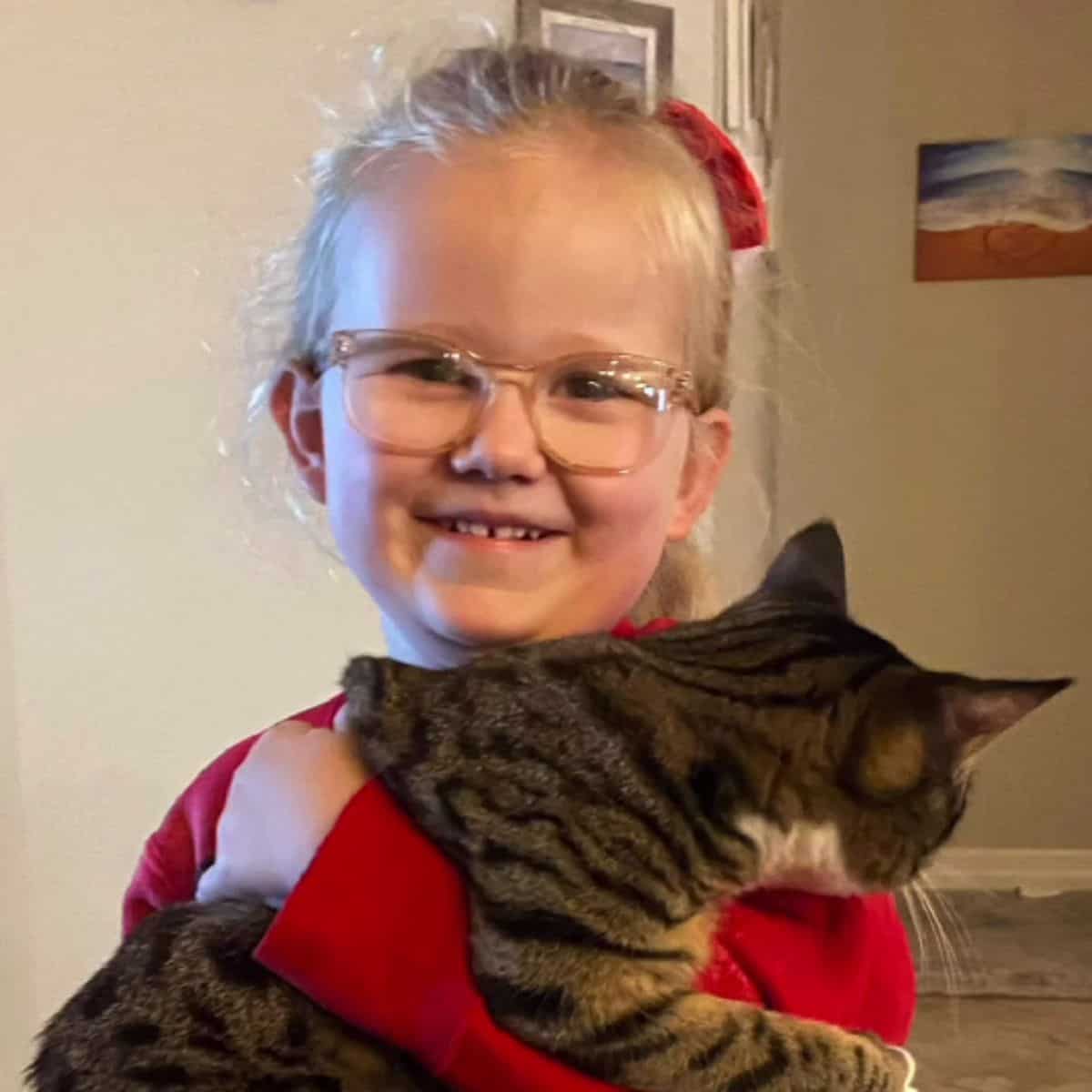 smiling little girl holding a cat in arms