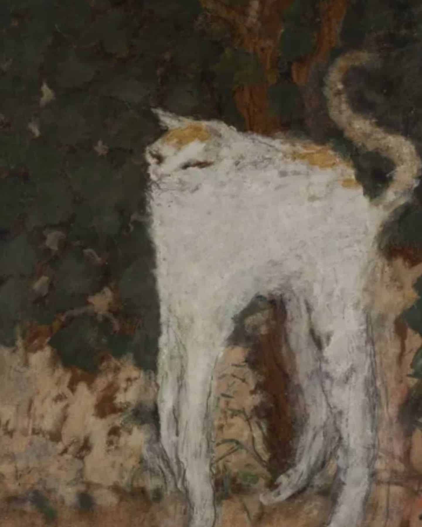 white medieval cat