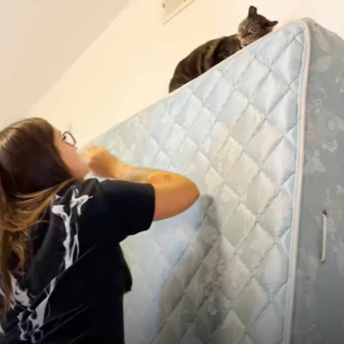 woman looking at cat on top of mattress