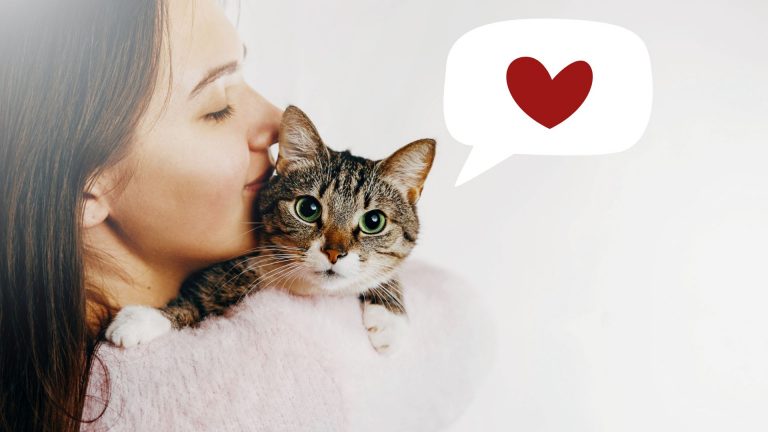 woman hugging a cat