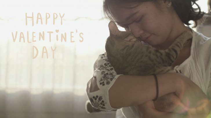 10 Reasons Why Your Cat Is The Best Valentine’s Day Date Ever