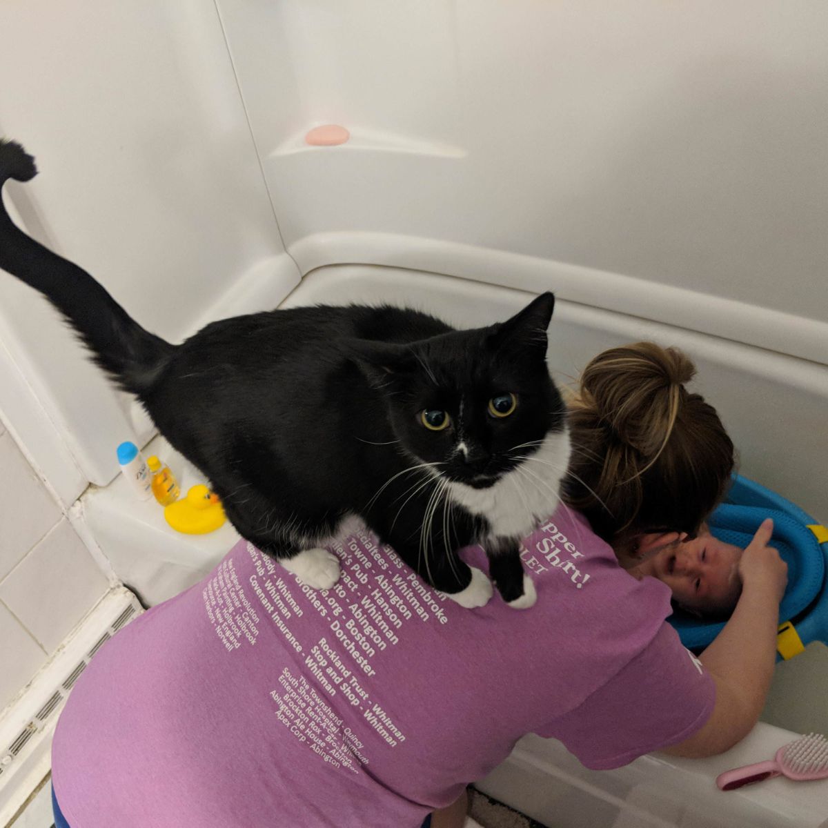 cat standing on owner's back