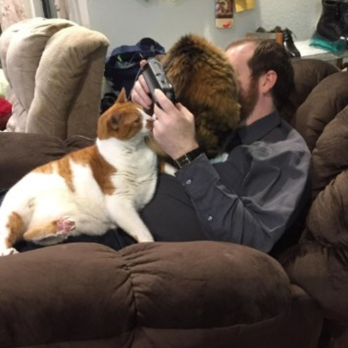 cats bothering their owner while he's playing video games