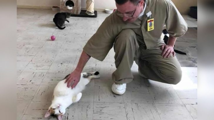 A Prison In Indiana Welcomes Shelter Cats Who Provide Solace And Companionship To All Inmates