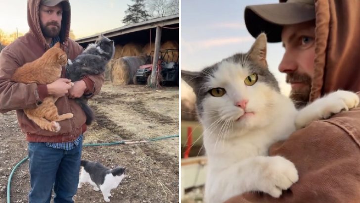 Farm Cat Gets Jealous When Her Dad Holds Other Cats In His Arms