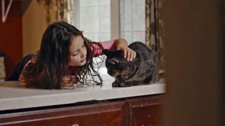 girl petting a cat