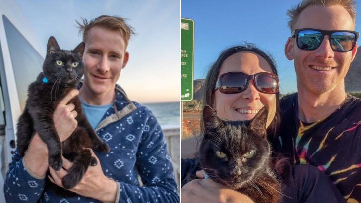 Man Leaves Everything To Travel With The Cat Who Got Him Through Hard Times