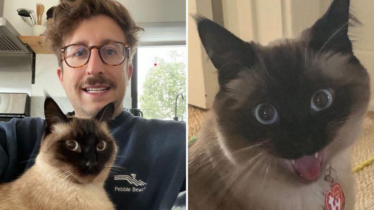 Man Rescues A Cat And Gets Himself A True Comedic Partner In Crime 