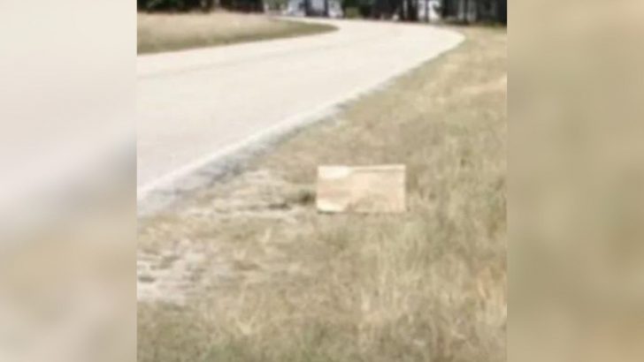 Man Was Driving Along A Country Road In North Carolina When He Spotted Mysterious Paper Bag
