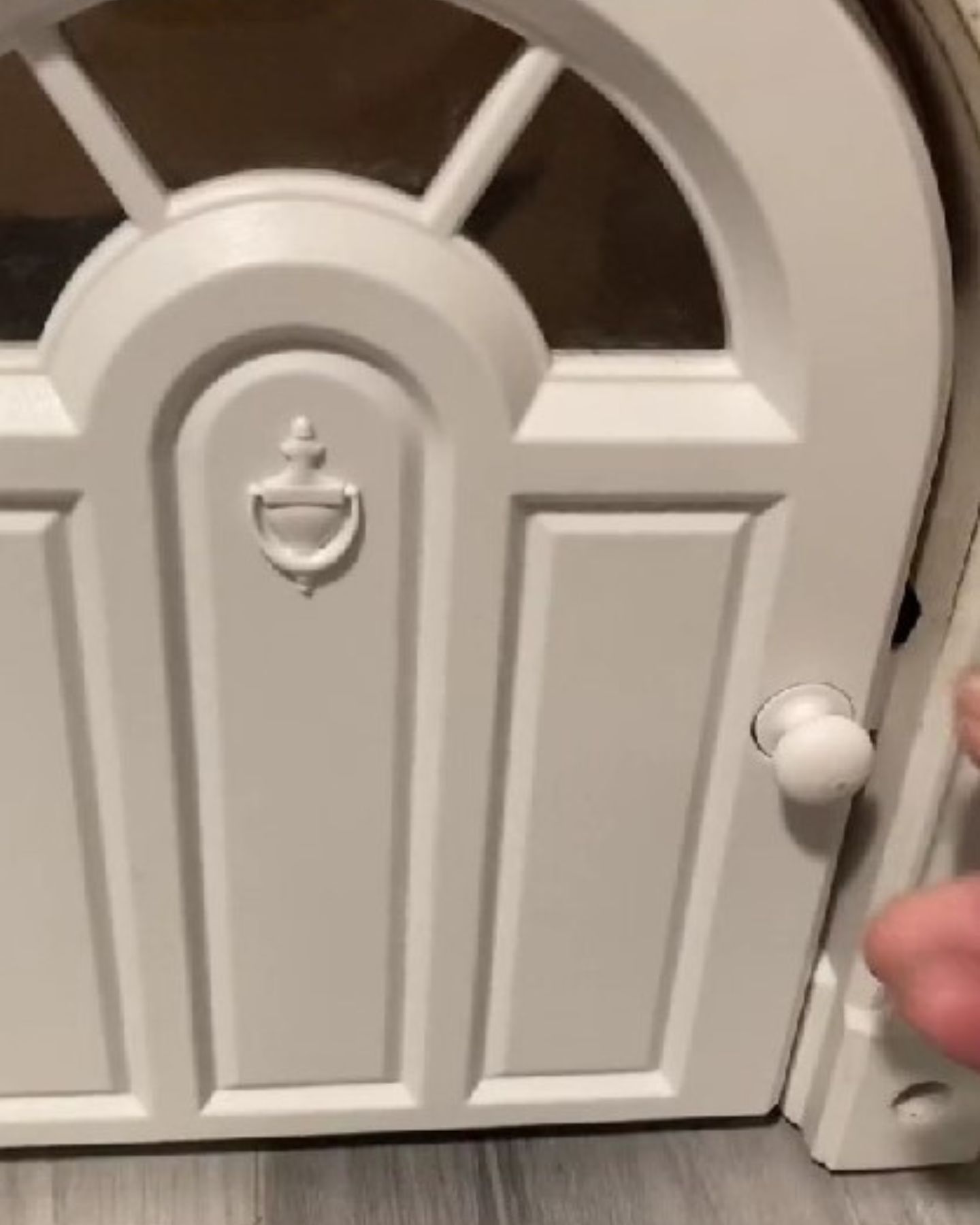 Mini door