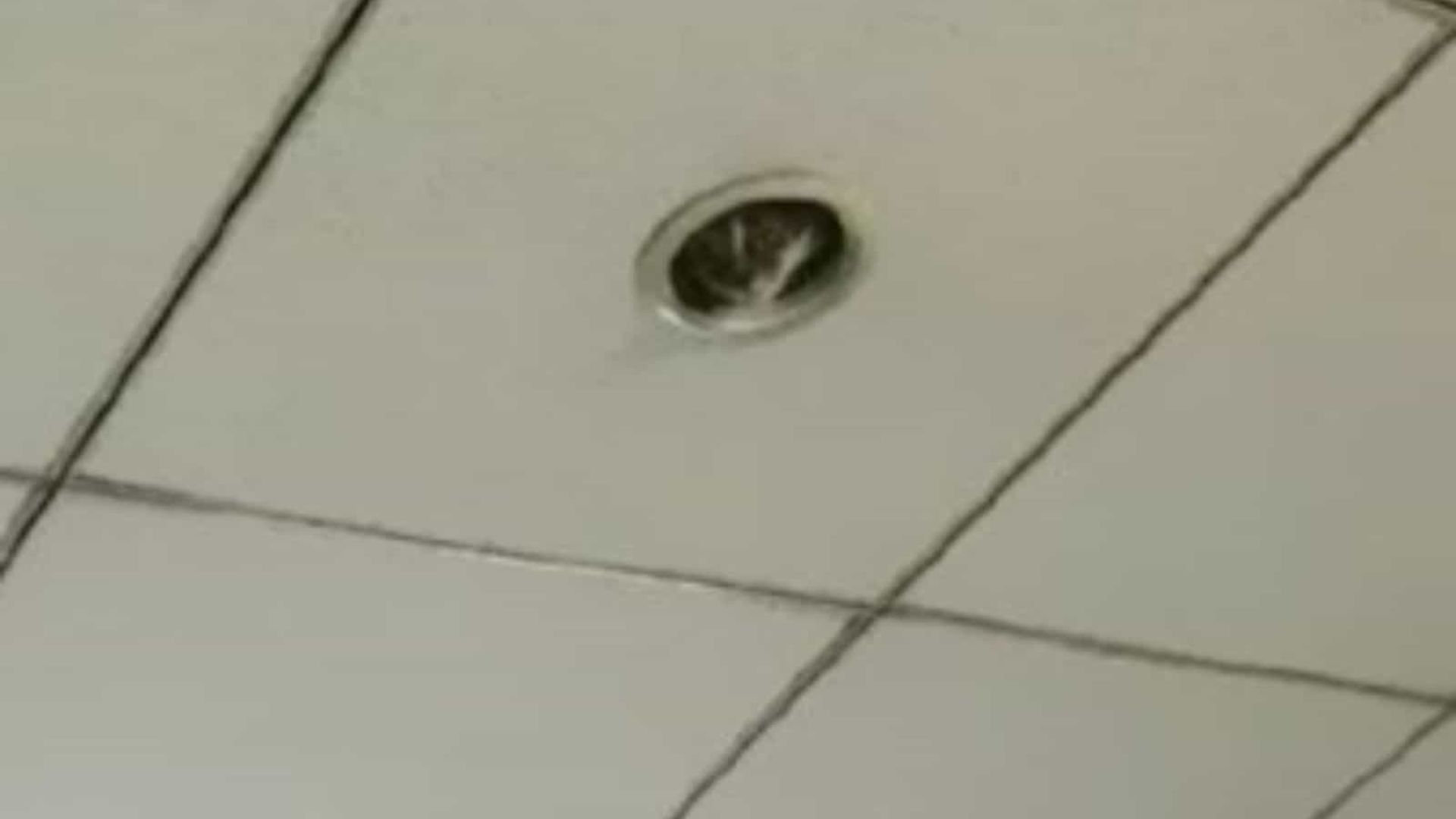 cat spying through a hole in the ceiling