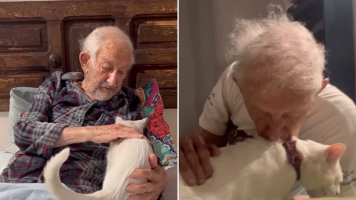 Old Man Says Goodbye To His Cat As He Can’t Take Care Of Her Anymore