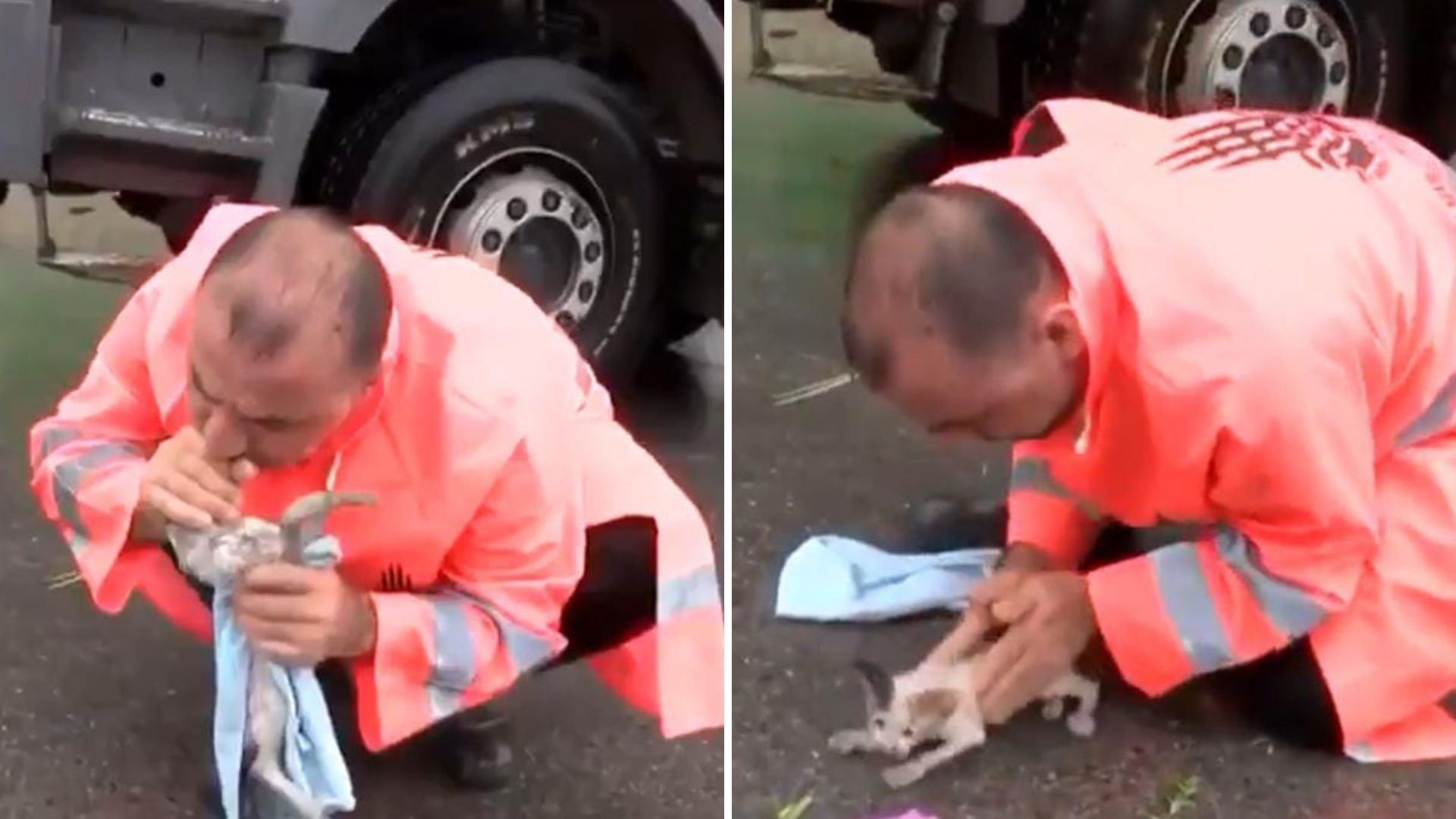 road worker rescues a drowning kitten