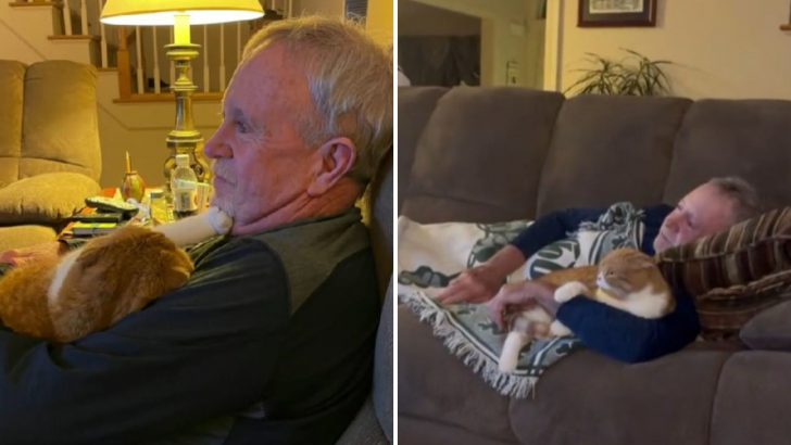 The Moment This Cat Realized Grandpa Was Sick, He Refused To Leave His Side