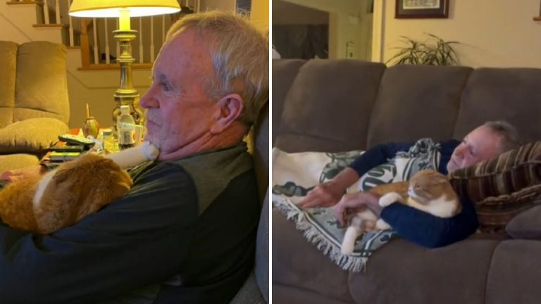 cat lying next to sick grandpa