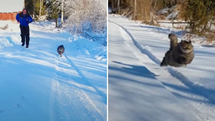 This Cat Could Outrun A Cheetah! She Beats Her Owner In Every Single Race