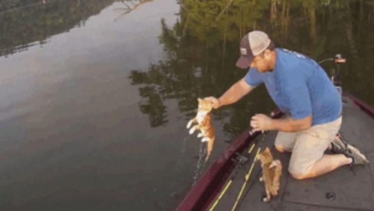 When These Two Guys Went Fishing, They Never Imagined Their Trip Would Turn Into Cat-Fishing