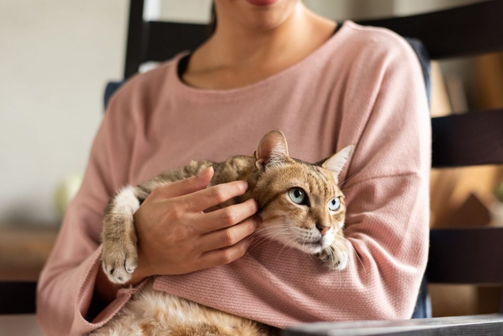 a woman holding a cat