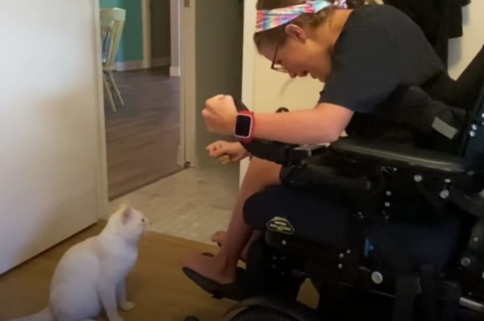 cat-and-girl-in-wheelchair