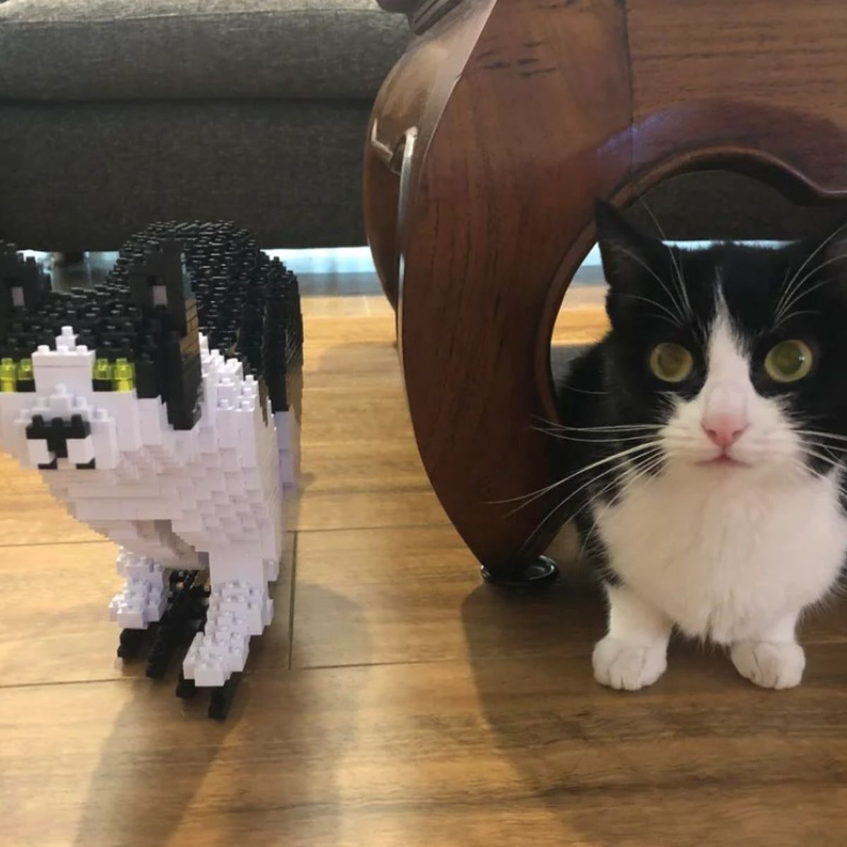 cat and lego toy