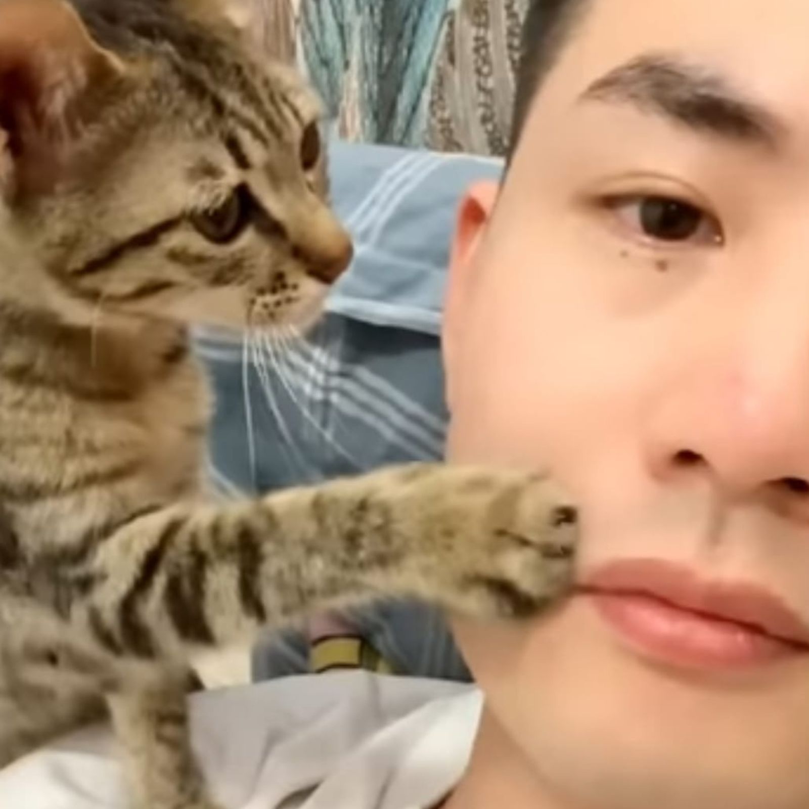 cat holding its paw on man's face