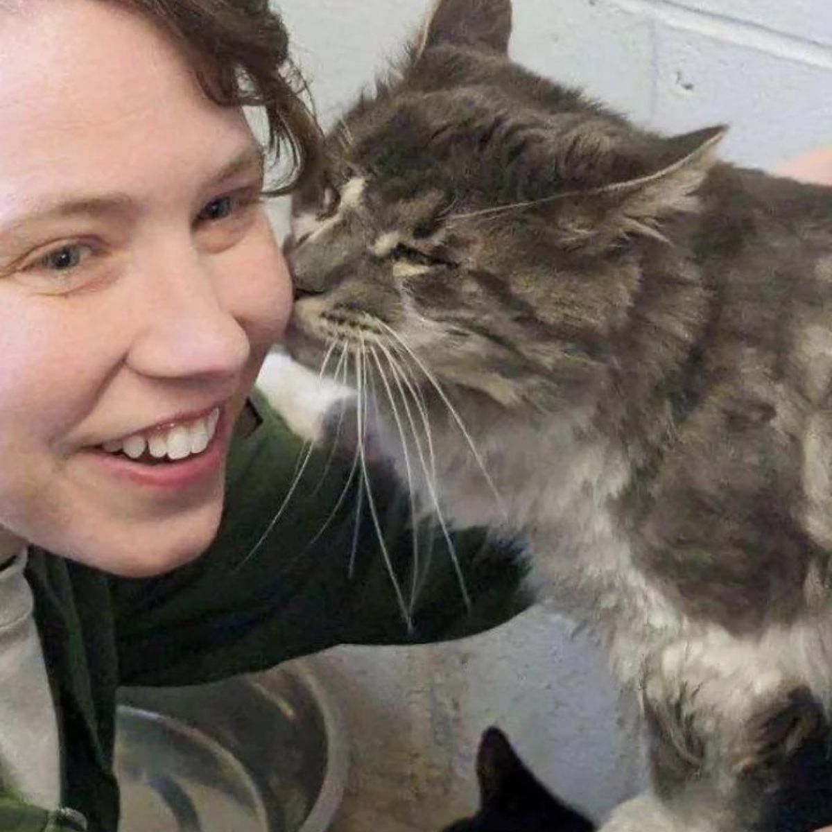cat kissing her adopter