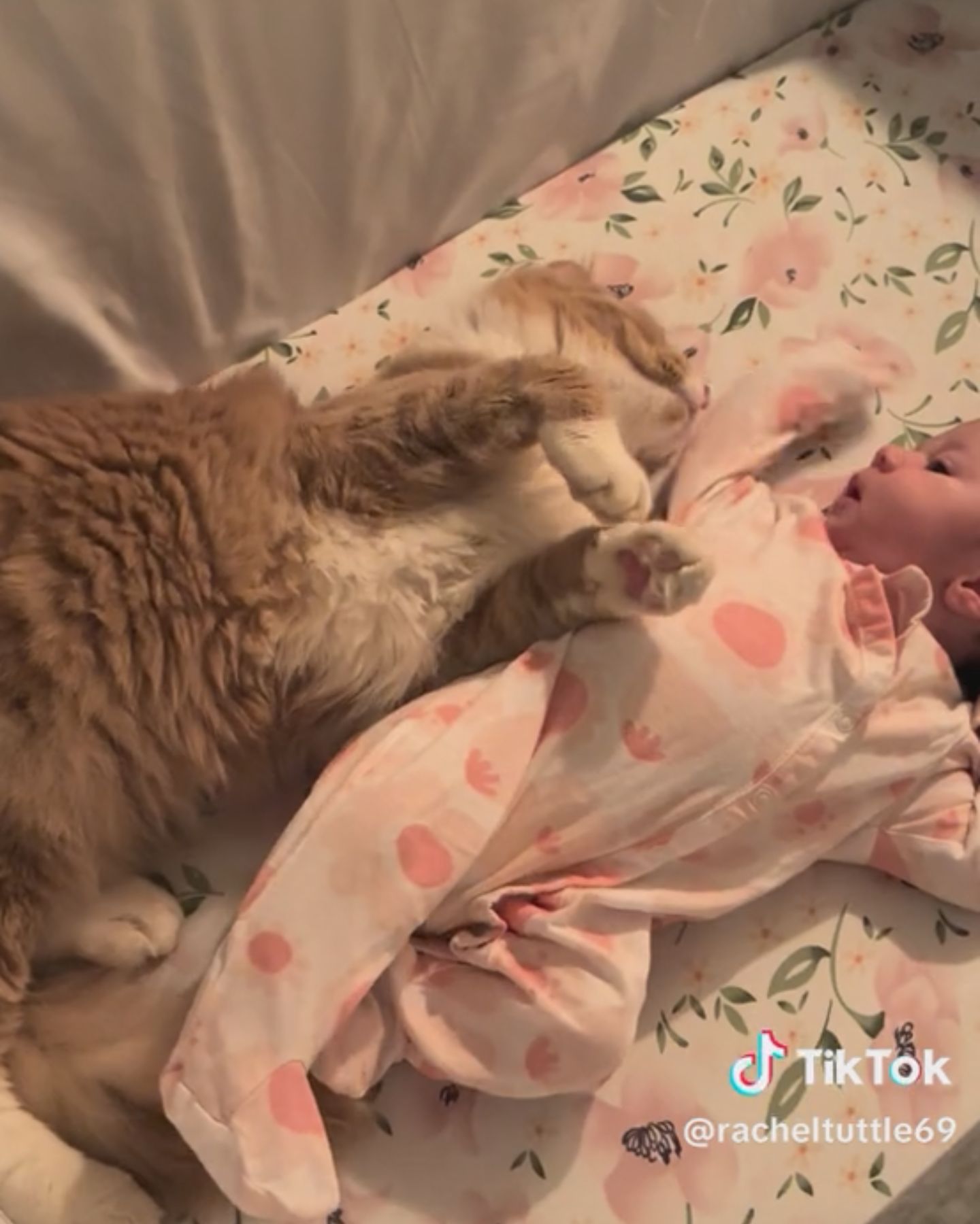 cat laying next to a baby