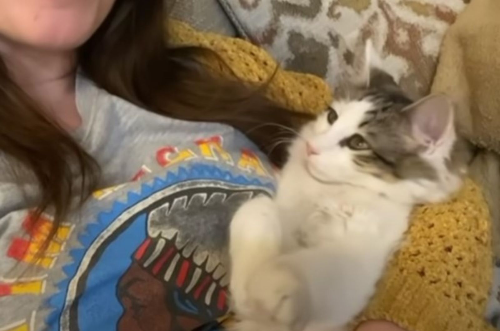 cat lying next to a woman