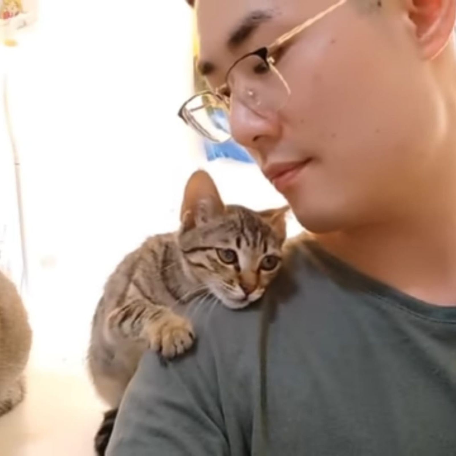 cat on man's shoulder