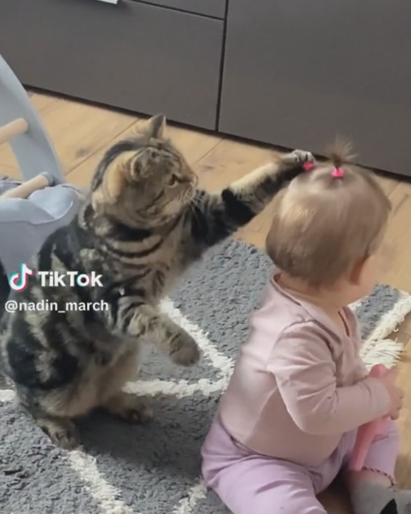 cat petting a baby