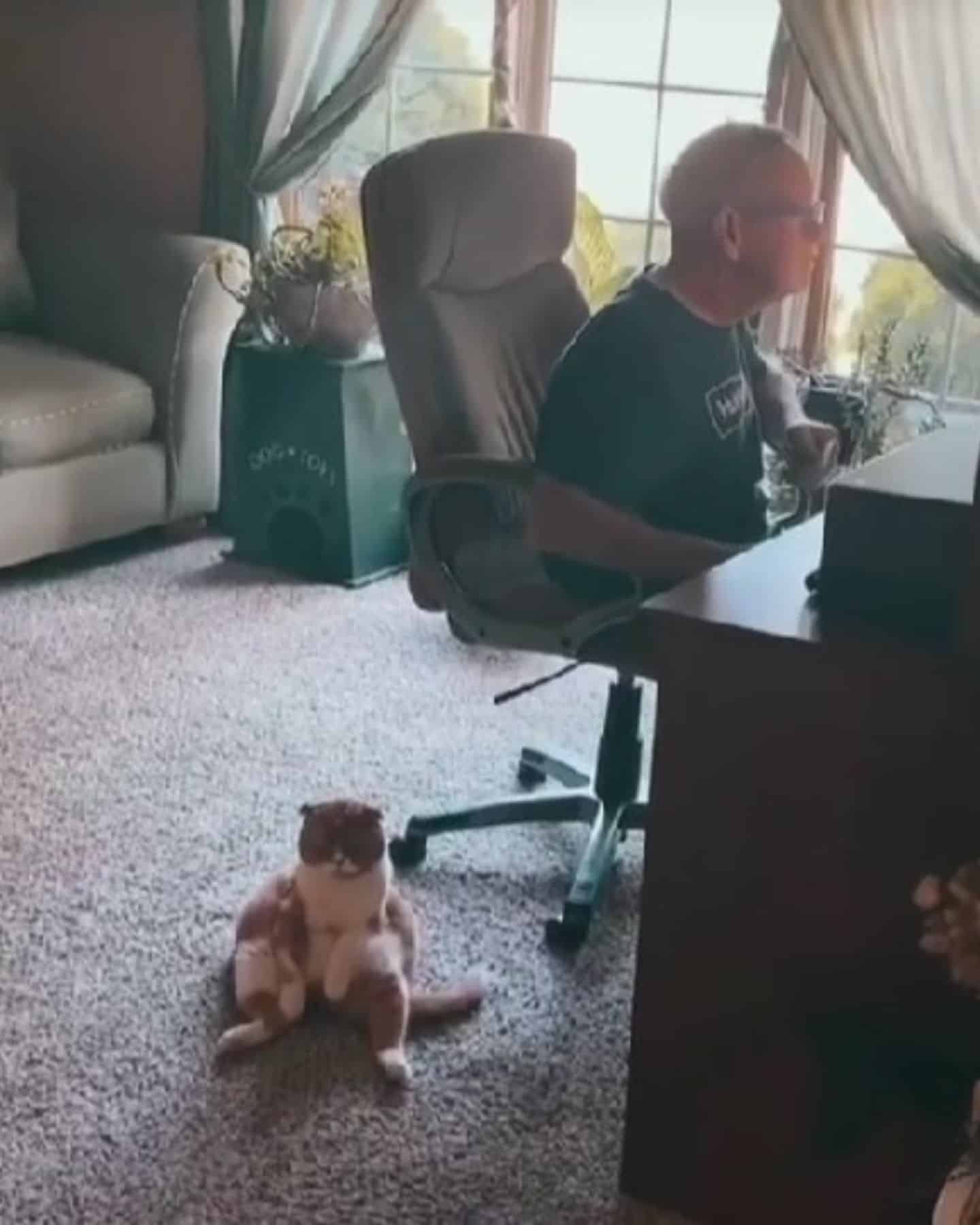 cat sitting next to a man in an office chair