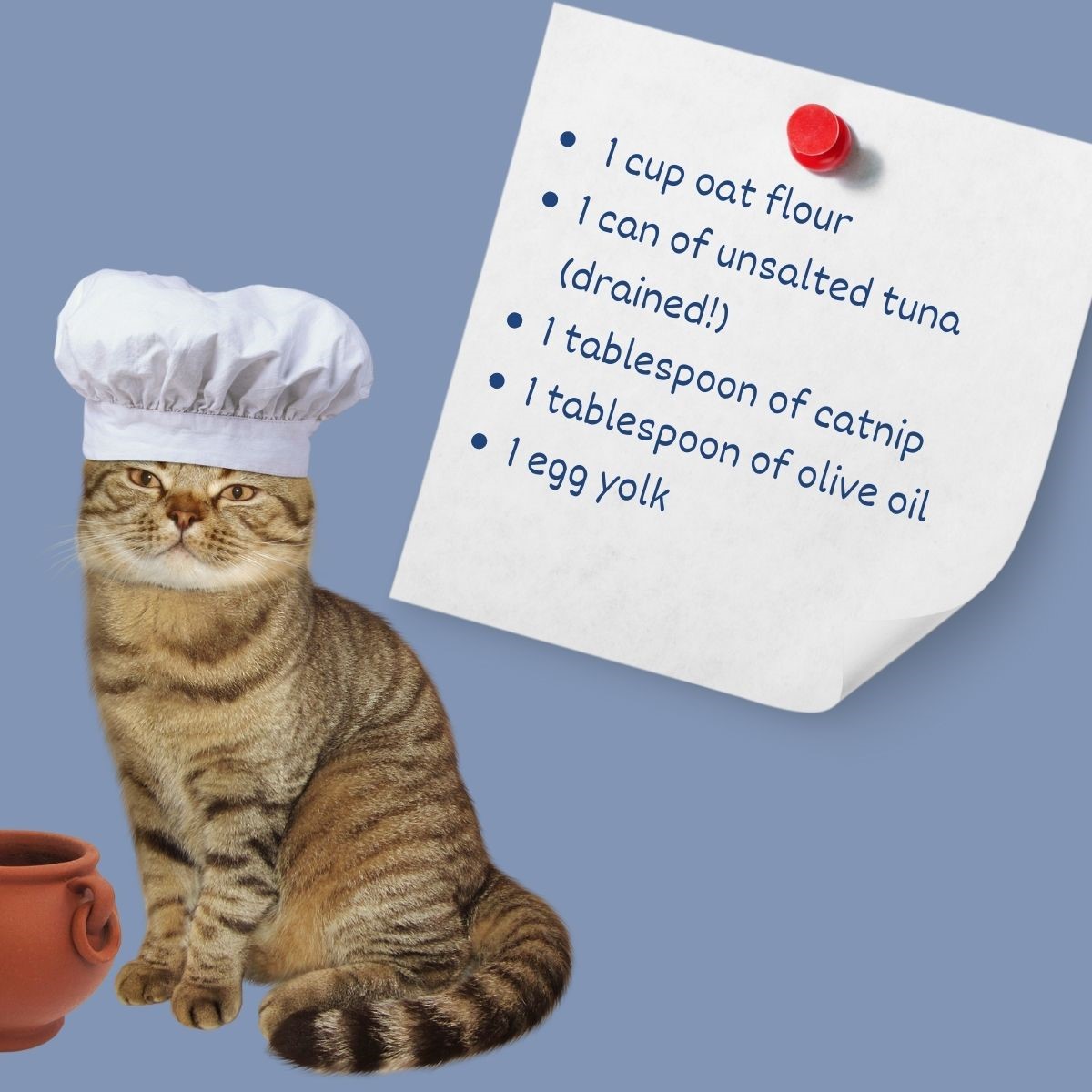 chef-cat