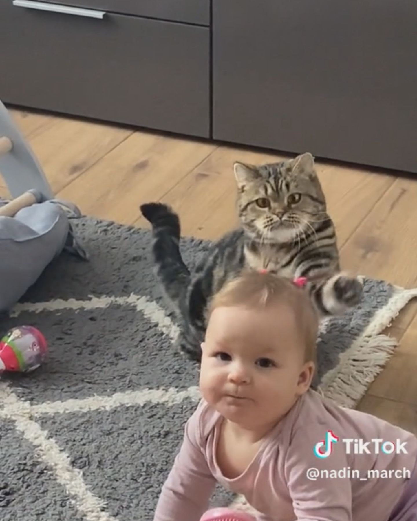 cute cat and baby