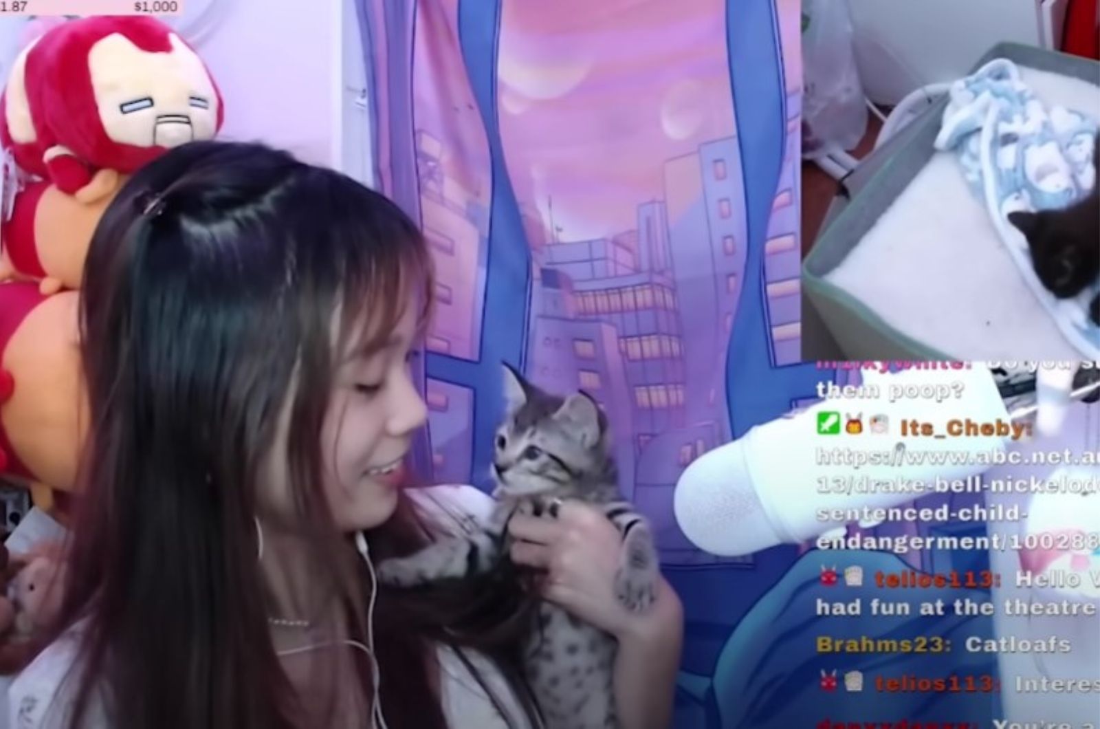 female video game streamer holding a cat