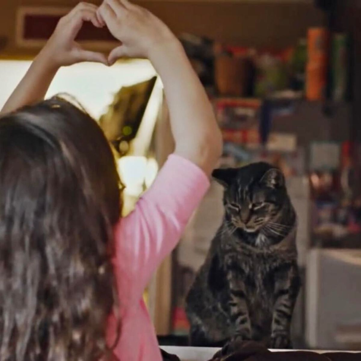 girl making a heart shape with hands while looking at cat