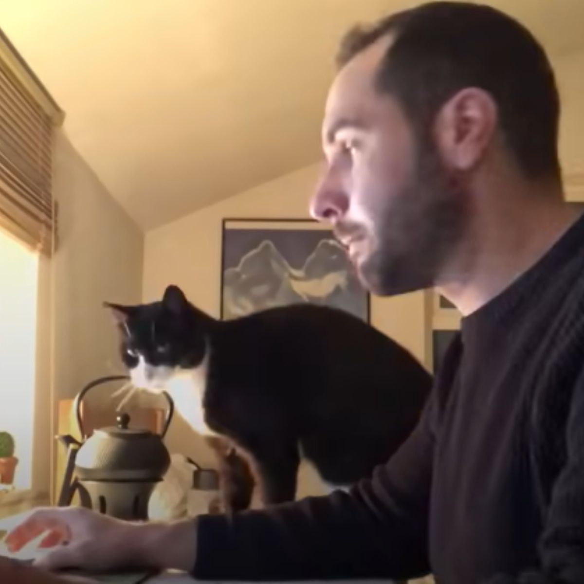 guy and black and white cat