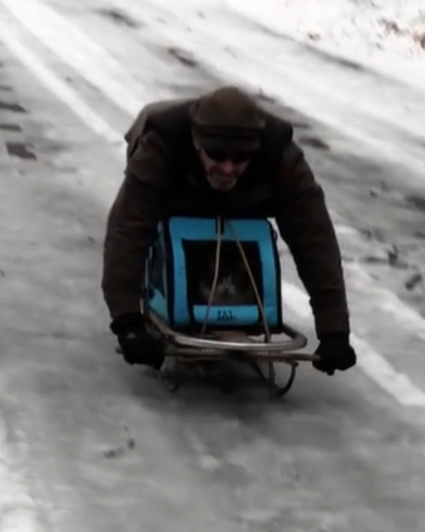 guy and cat on a sled
